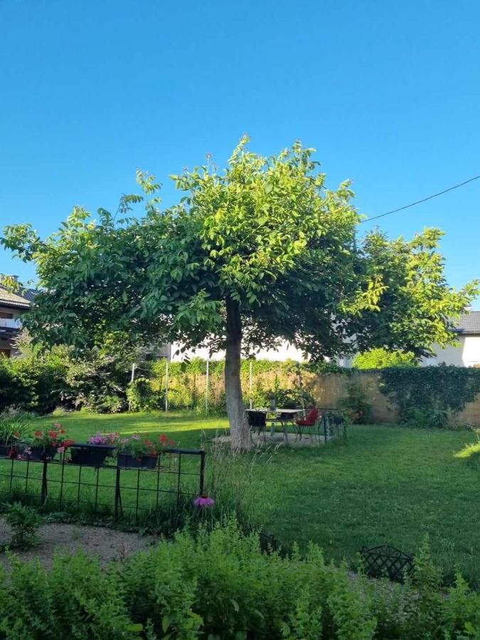 Camping Under The Walnut In Your Own Tent On A Shared Lot And Shared Bathroom Ljubljana Luaran gambar