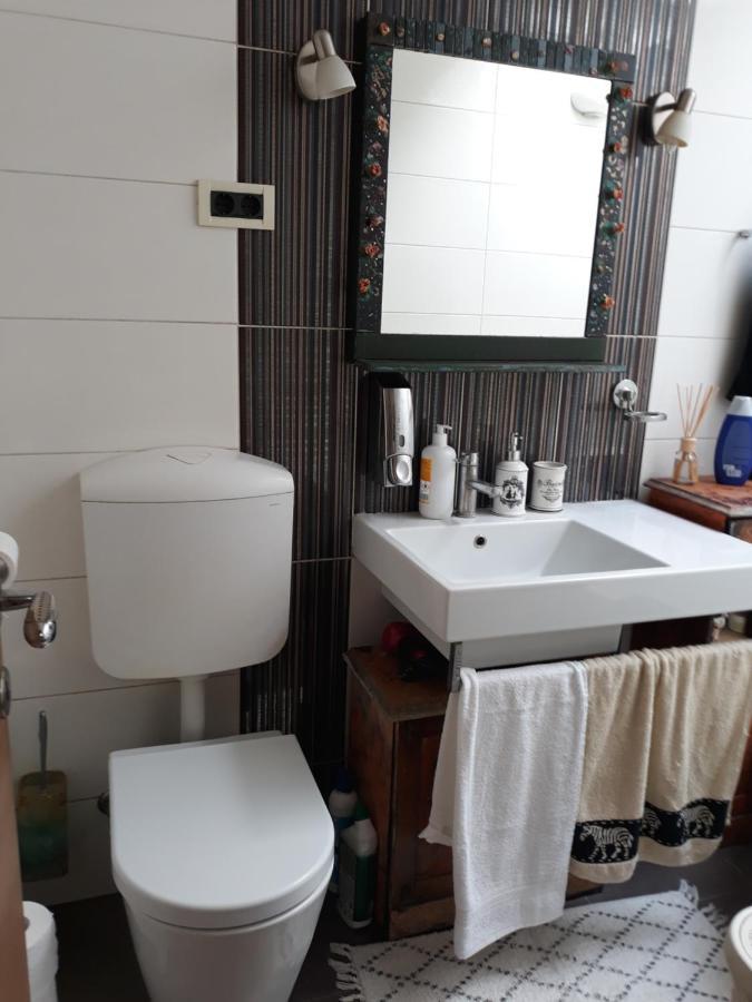 Camping Under The Walnut In Your Own Tent On A Shared Lot And Shared Bathroom Ljubljana Luaran gambar
