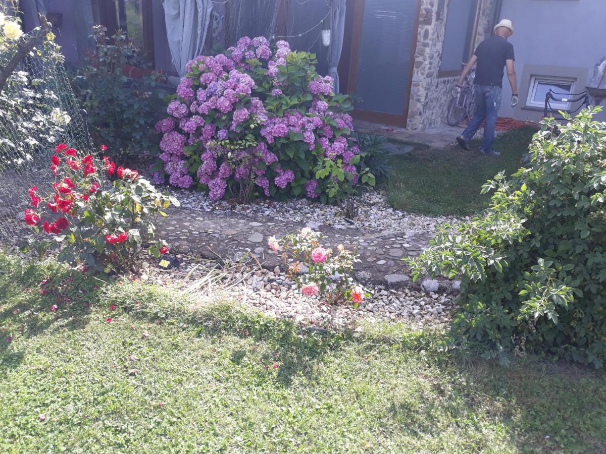 Camping Under The Walnut In Your Own Tent On A Shared Lot And Shared Bathroom Ljubljana Luaran gambar
