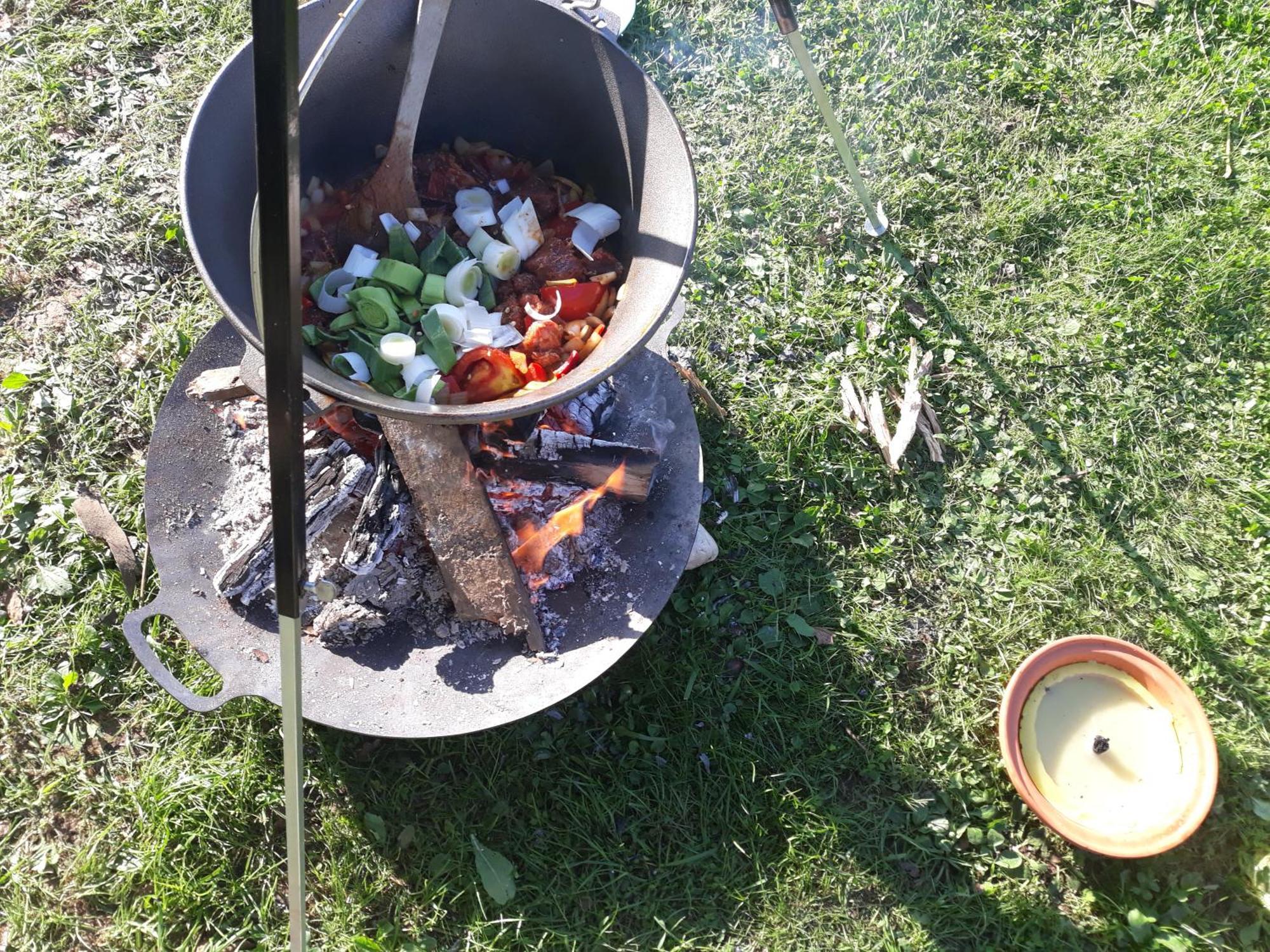 Camping Under The Walnut In Your Own Tent On A Shared Lot And Shared Bathroom Ljubljana Luaran gambar