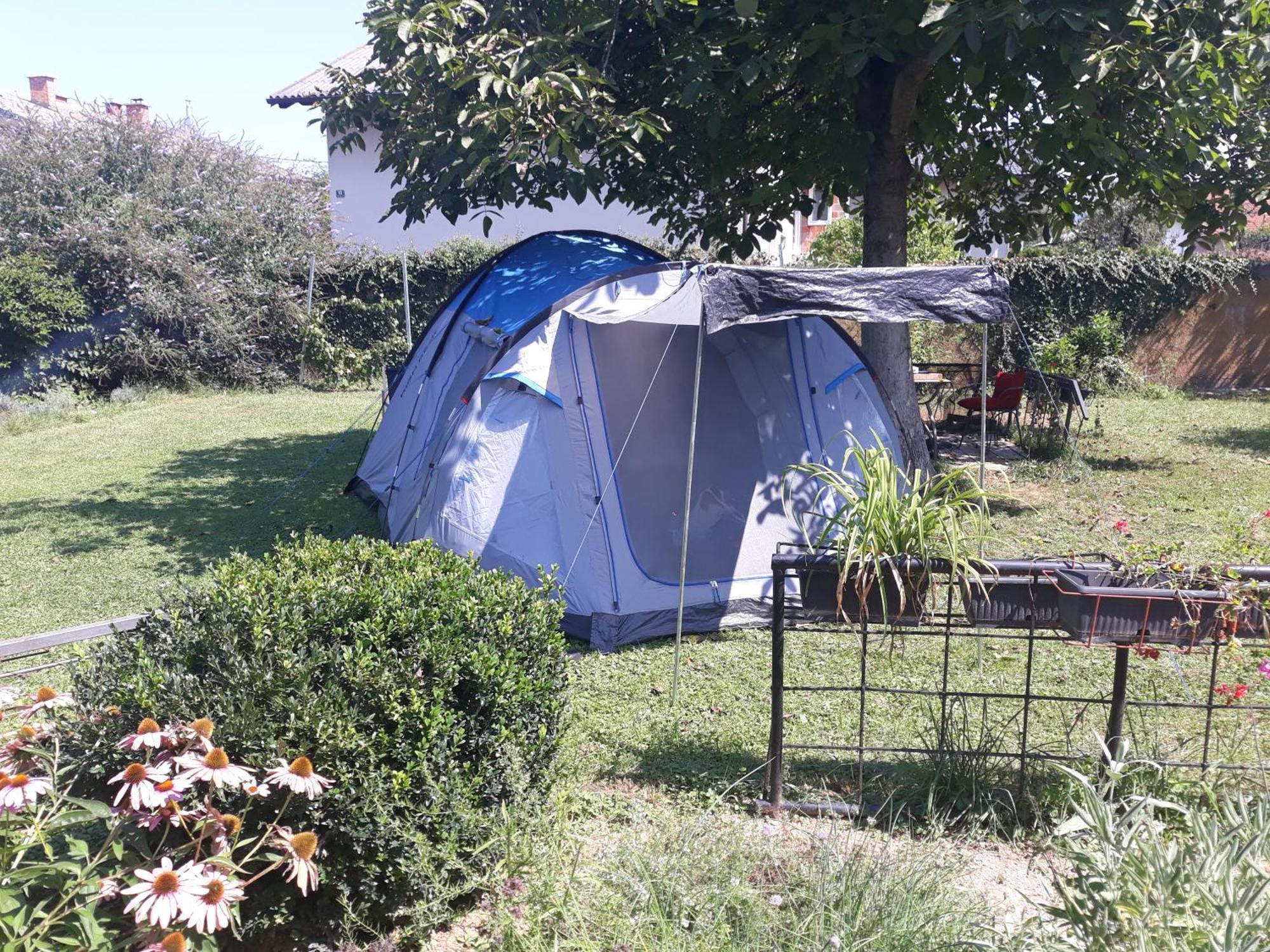 Camping Under The Walnut In Your Own Tent On A Shared Lot And Shared Bathroom Ljubljana Luaran gambar