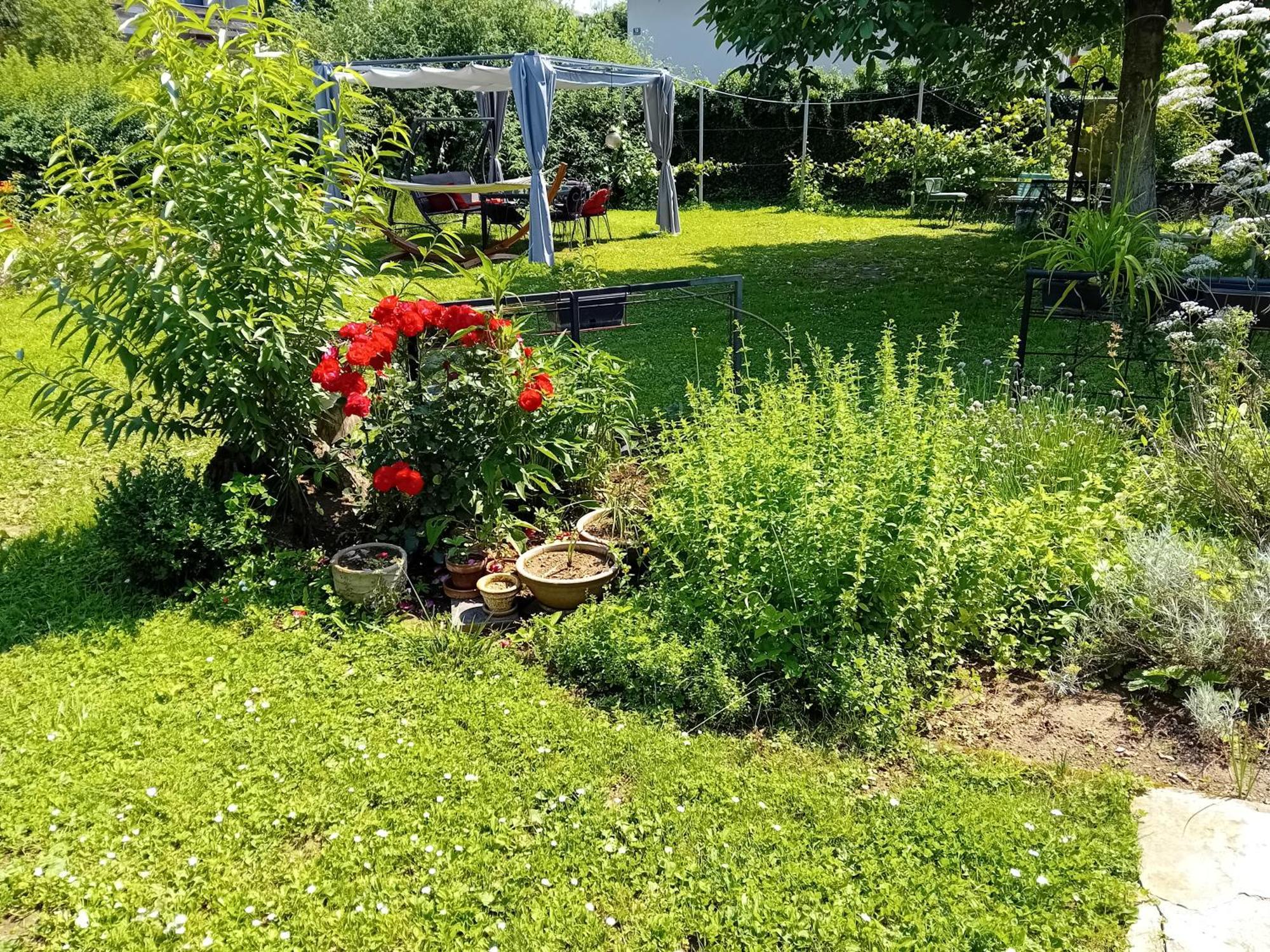 Camping Under The Walnut In Your Own Tent On A Shared Lot And Shared Bathroom Ljubljana Luaran gambar